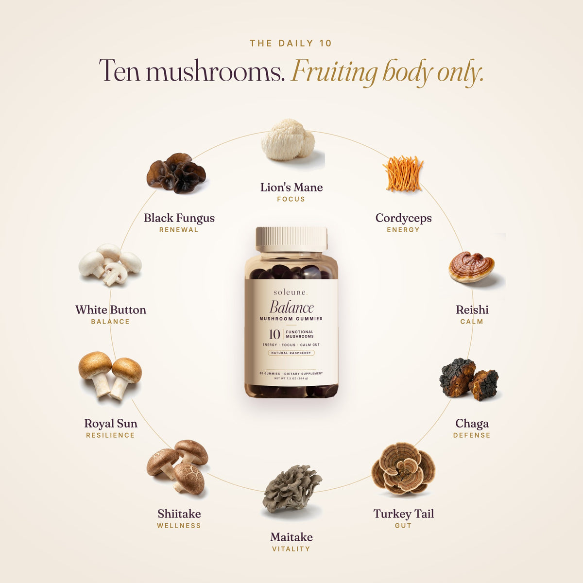 The 10 functional mushrooms in Balance