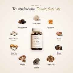 The 10 functional mushrooms in Balance