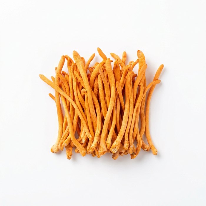 Cordyceps