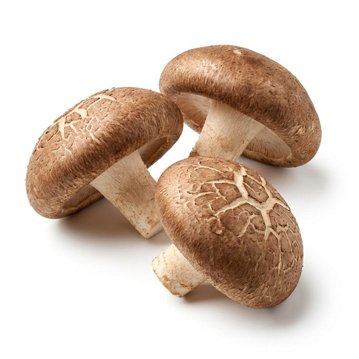Shiitake